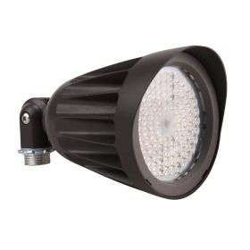 BOISE 2nd GEN | LED Landscaping Light | 25 Watt | 3375 Lumens | Adj CCT 30K/40K/50K | 120V-277V | Ground Stake Mount | Bronze Housing | IP65 | UL & DL