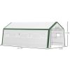 20' L x 10' W x 8' H Heavy-duty Greenhouse Walk-in Hot House with Windows and Roll Up Door;  PE Cover;  Steel Frame;  White