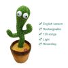 Plush Dancing Cactus Repeat What You Said Kids Stuffed Toys Singing Spanish Song Shaking With Music Plant Toy Children Education