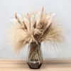 109pcs Natural Dried Pampa Grass Bouquet Large Phragmites Dried Flower Boho Home Decor Bouquet Room Holiday Wedding Party Decor