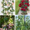 Garden Arch with Plant Clips, Garden Arbor Pergola for Climbing Plants, Garden Clips for Vine, Tomato, Cucumber, Flower Support